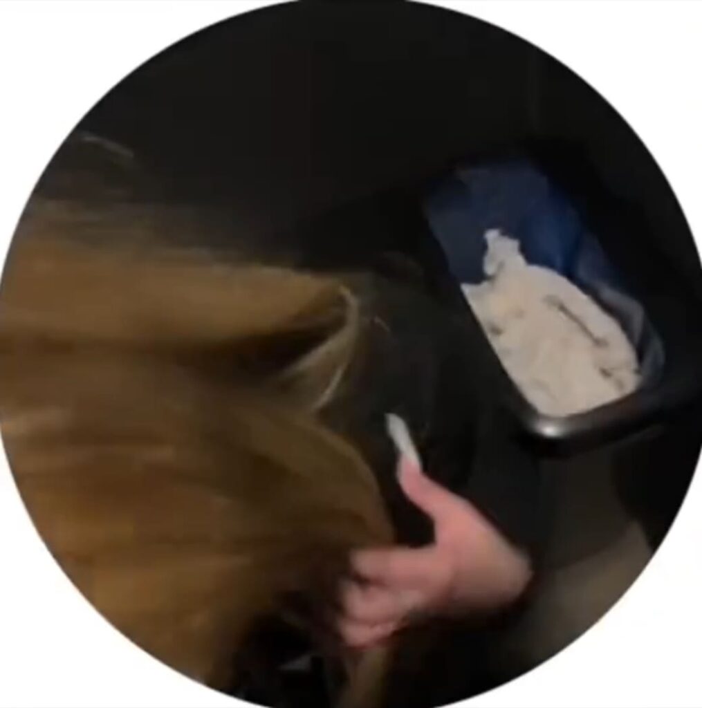 Слив Соня Кент OnlyFans слив фото 3 Aesthetic 2026