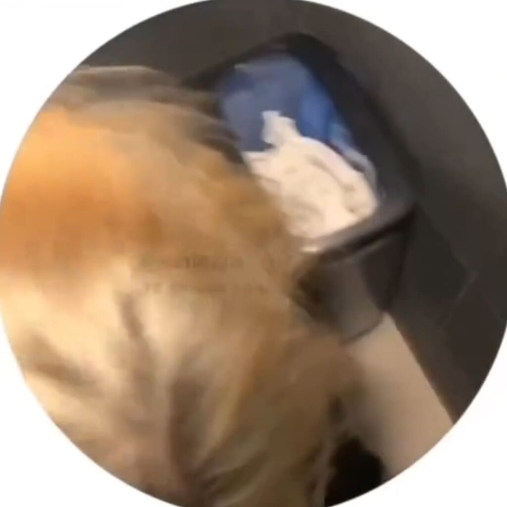 Слив Соня Кент OnlyFans слив фото 5 Aesthetic 2026