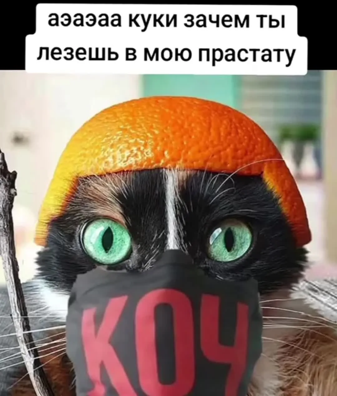 Коч Братан Видео
