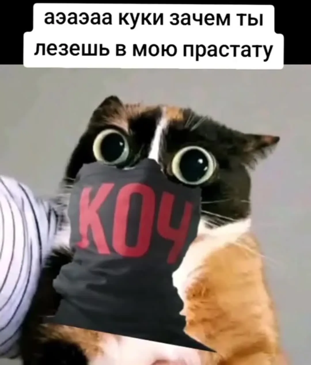 Коч Братан Видео OnlyFans слив фото 2 OnlyFans 2026