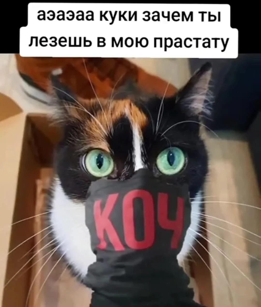 Коч Братан Видео OnlyFans слив фото 4 OnlyFans 2026
