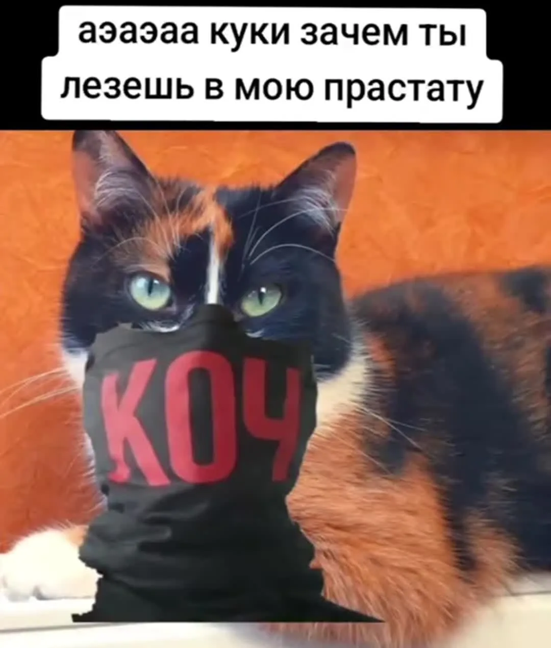 Коч Братан Видео OnlyFans слив фото 5 OnlyFans 2026