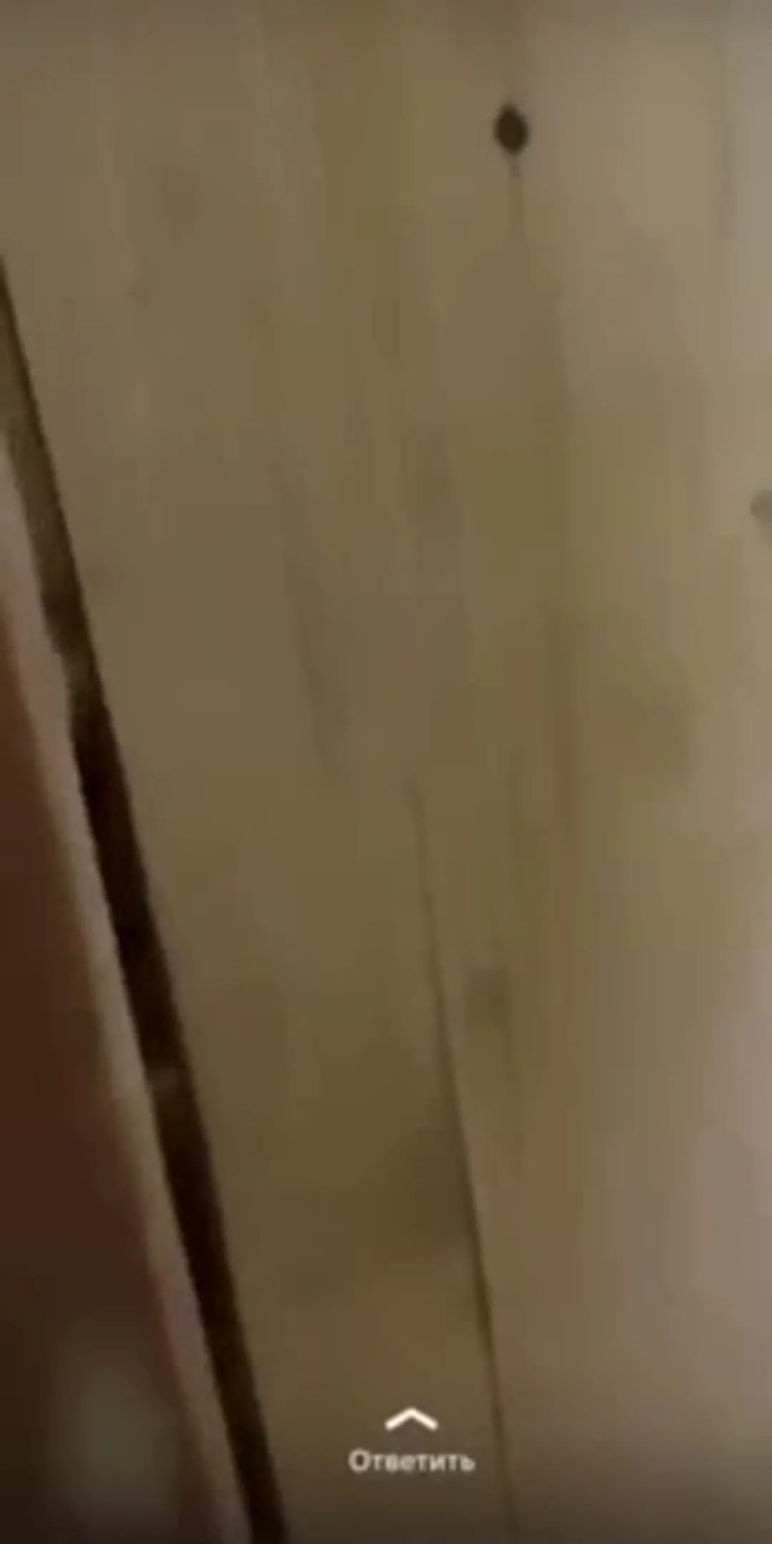 Коч Братан Видео OnlyFans фото