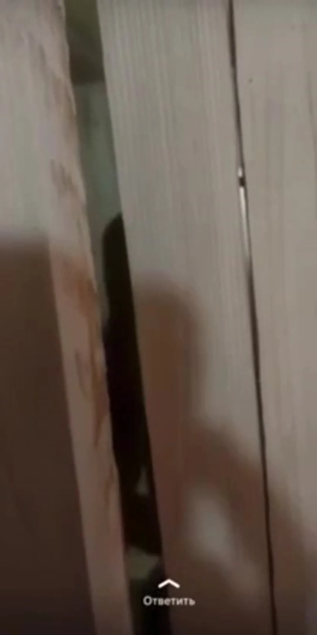 Коч Братан Видео OnlyFans фото